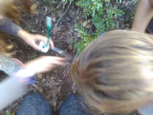 img_20161020_162140
