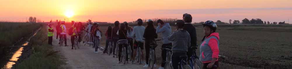 Camp d'Aprenentatge delta de l'Ebre