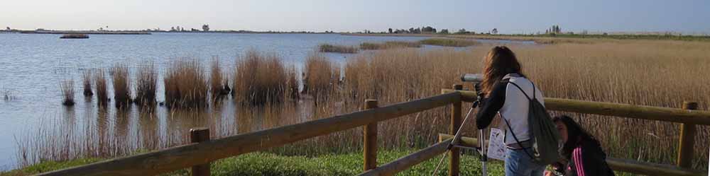 Camp d'Aprenentatge delta de l'Ebre