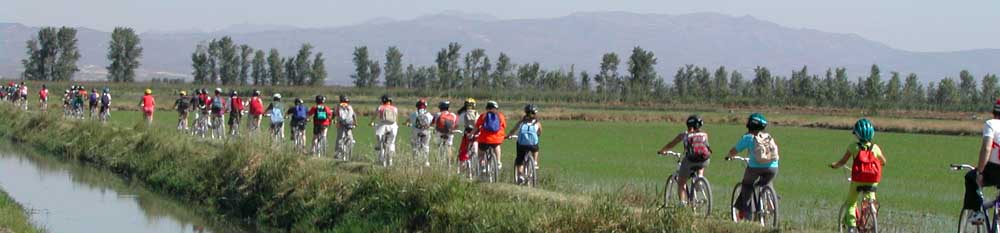 Camp d'Aprenentatge delta de l'Ebre