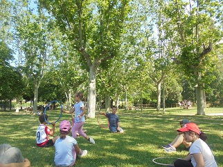 DSC02347