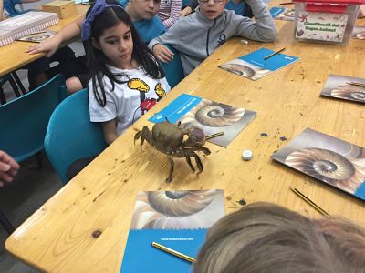 IMG-20181024-WA0017_opt