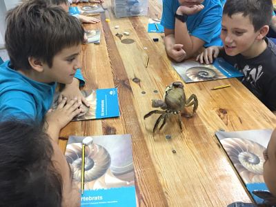 IMG-20181024-WA0025_opt