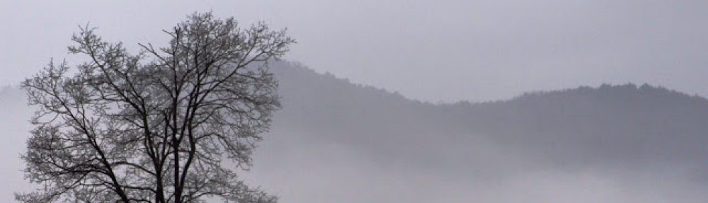 EL BLOC DE CICLE MITJÀ