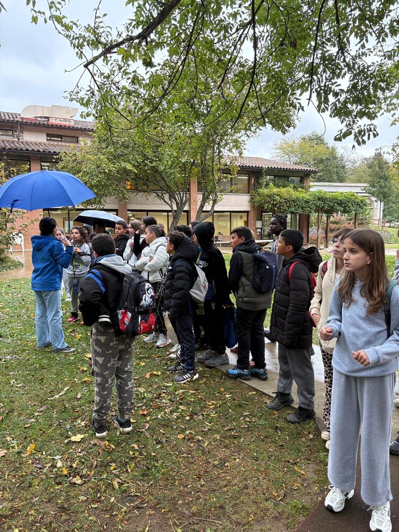 307DE788-B49A-4B90-AD09-E83D3A5D711A