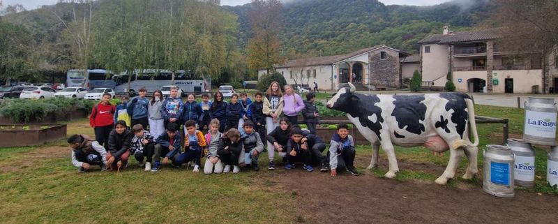 367489f8-ef8a-42ec-aa70-c7cf2271368b