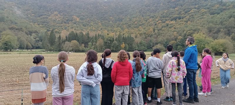 81341e27-434f-4097-992c-62676170c9db