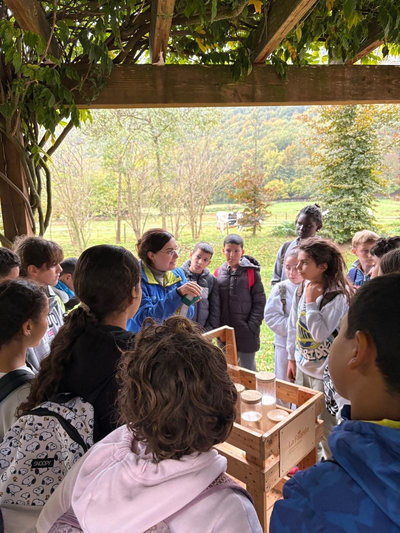 8C1E9D0C-78EC-49C5-98AA-0123B9F24275