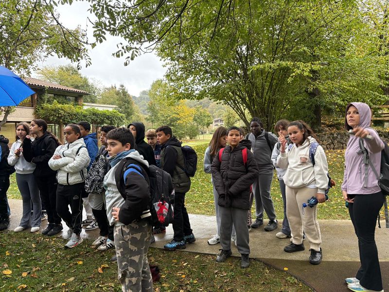 D98EEED2-A512-4C12-BB6C-E0E2B81D1567