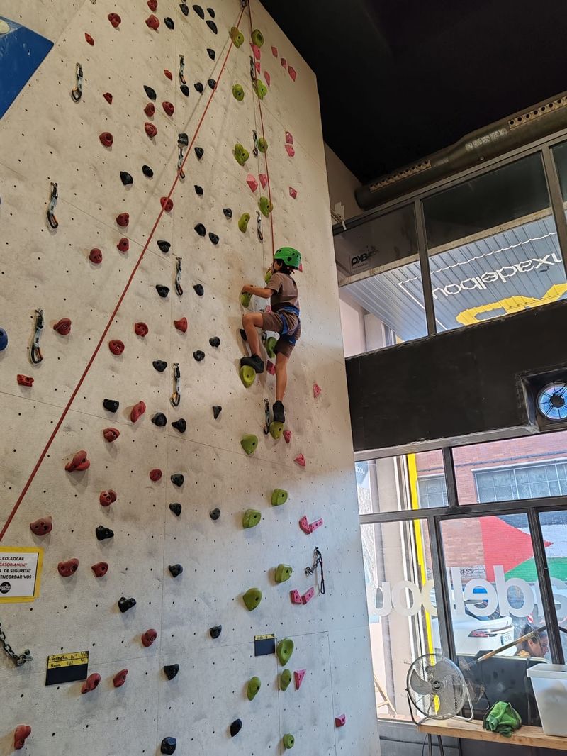 3141fcb5-2cb3-4762-972b-9fb3363a5a91