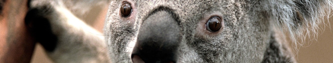 cienciesnaturalsbaixamar