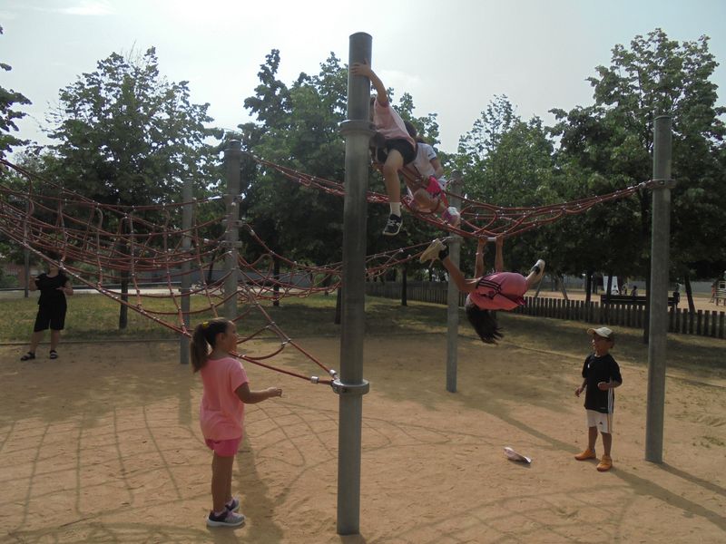 DSC02379