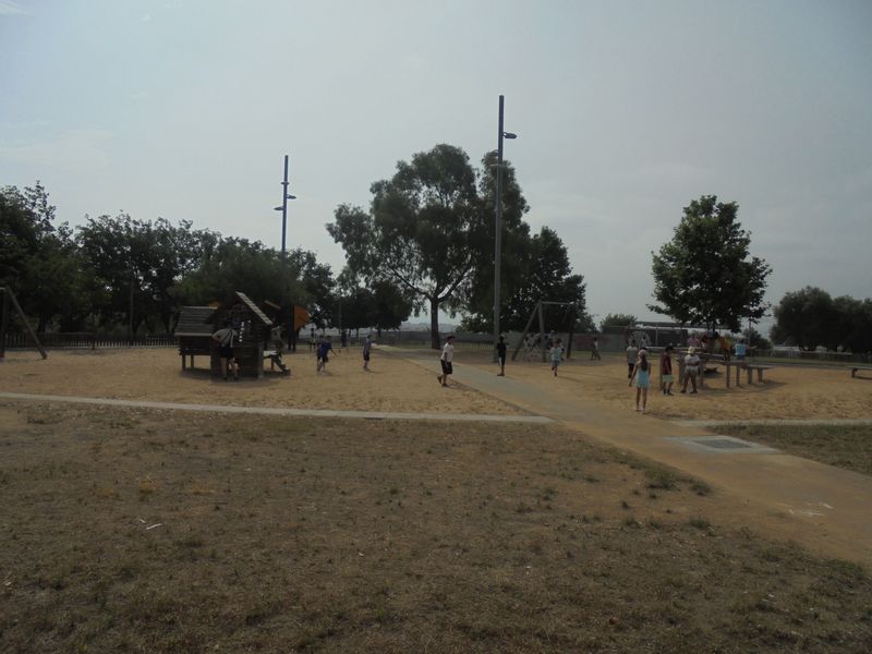 DSC02381