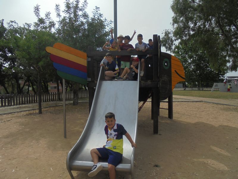 DSC02390