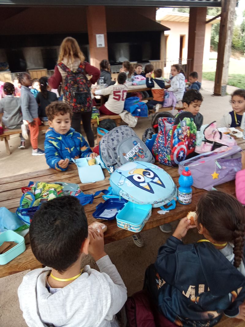 IMG_20251113_105858(1)