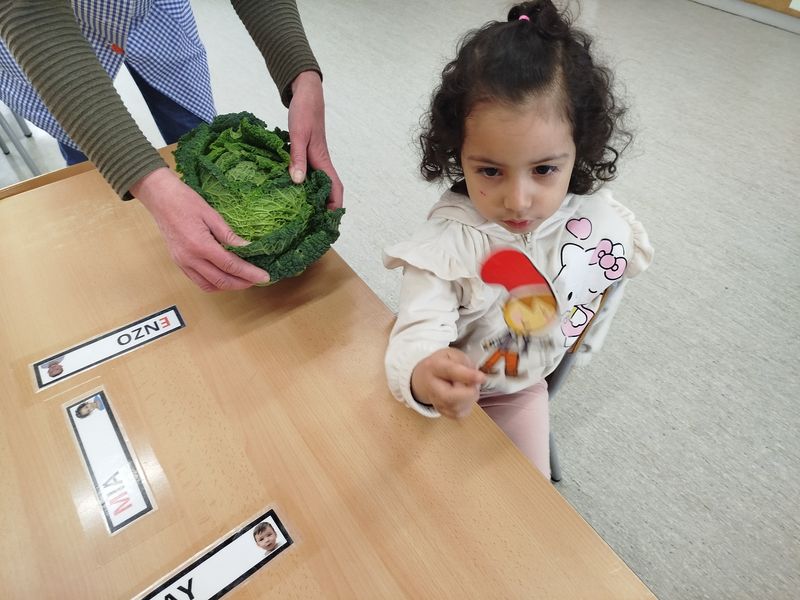 IMG_20260303_115424 (1)