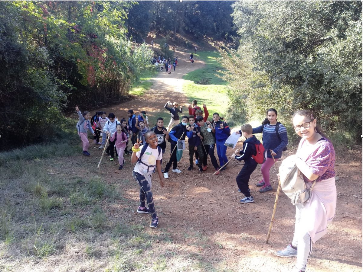 Excursió a Torrebonica