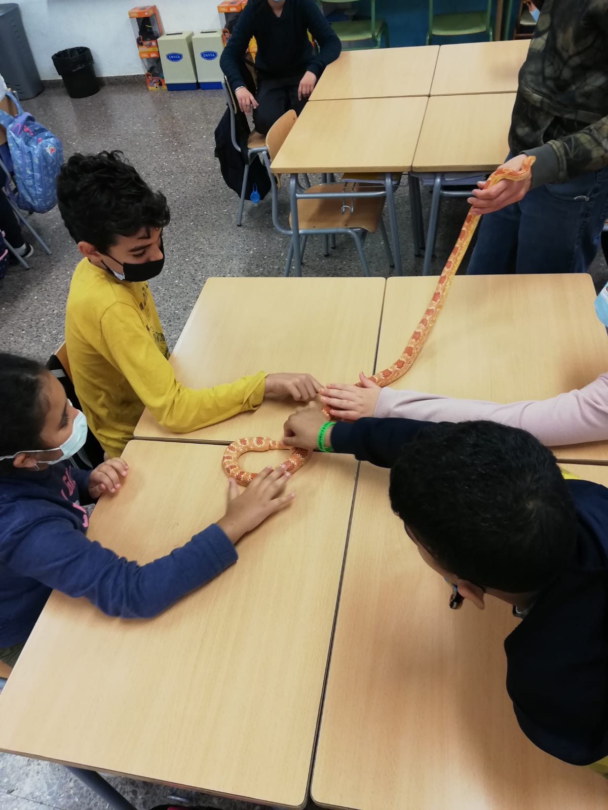 WhatsApp Image 2021-10-30 at 09.43.19 (11)