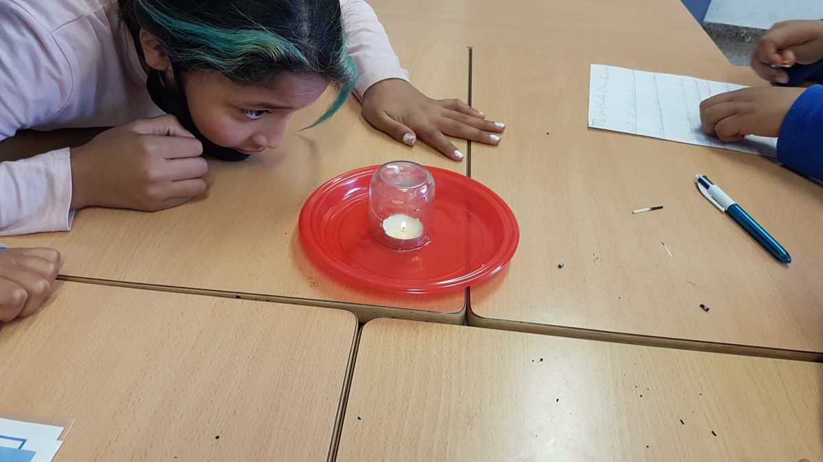 Setmana de la ciència