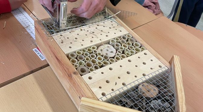 Taller: Creem un Hotel d’Insectes