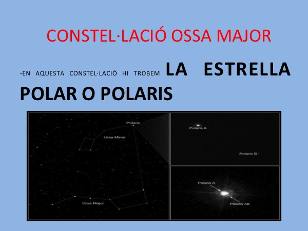 diapositiva05