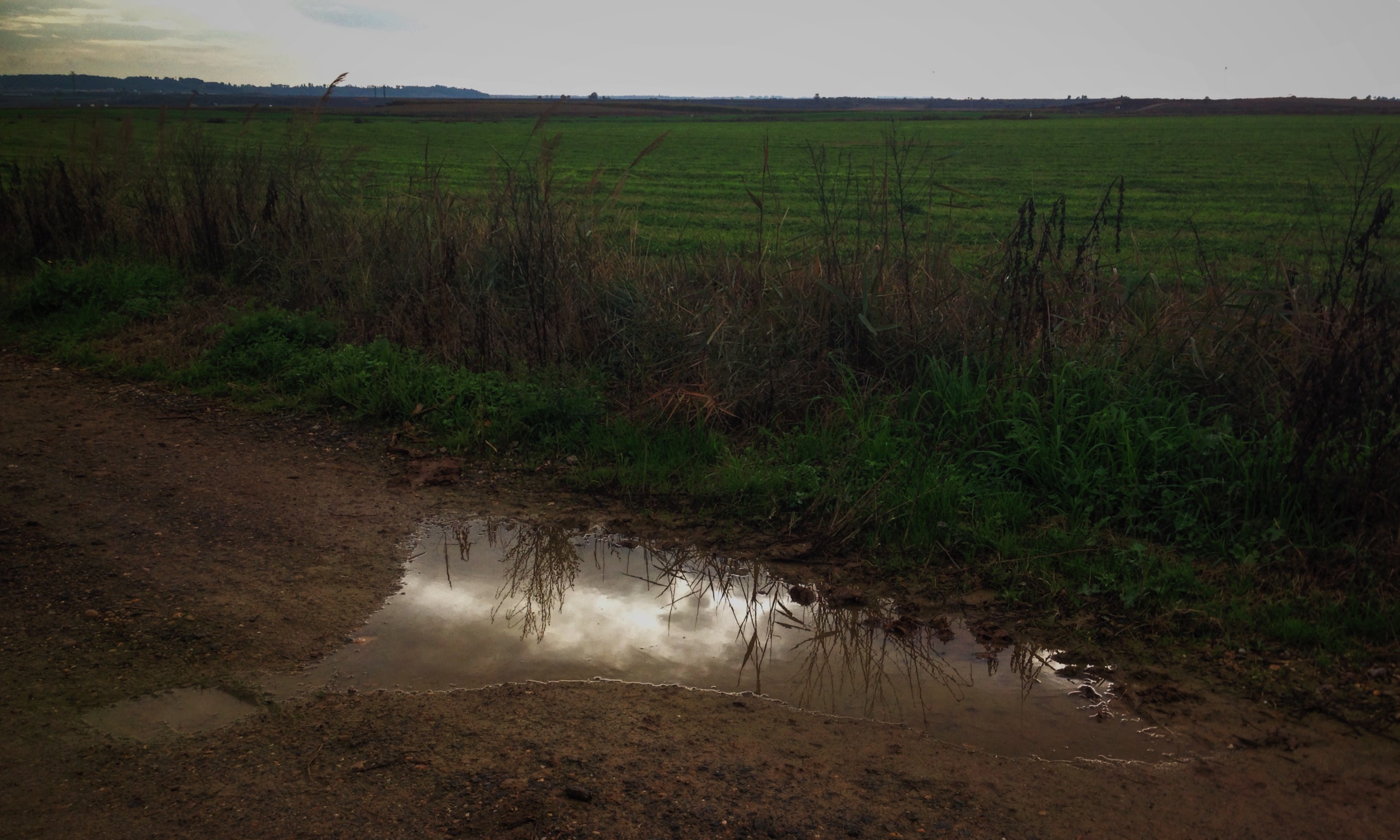 L'aigua és ciència