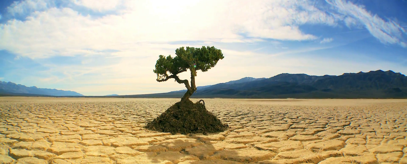 time-lapse-concept-climate-change-shot-of-green-tree-growing-in-arid-desert-landscape-with-hills-behind_nyiug3h1x__F0000