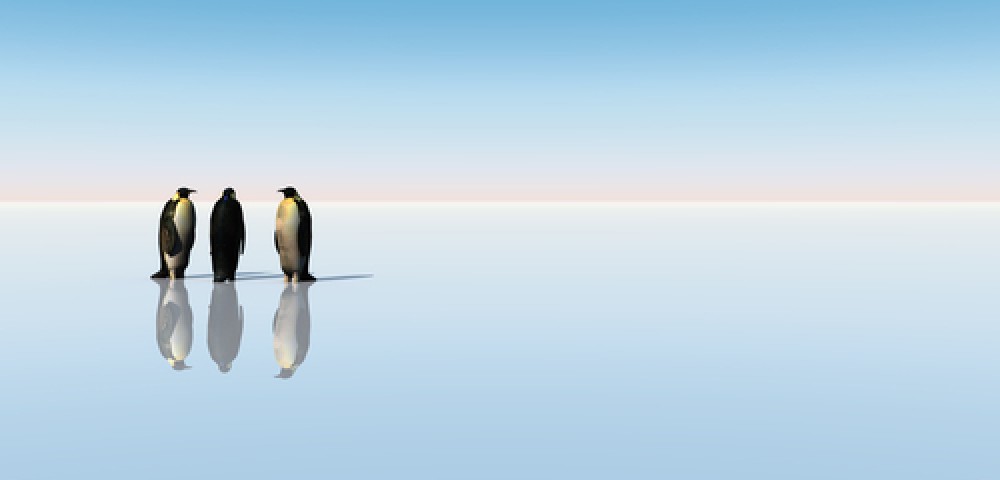 Un viatge virtual a l'Antàrtida