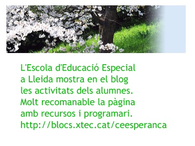 Escola d'Educació Especial a Lleida 