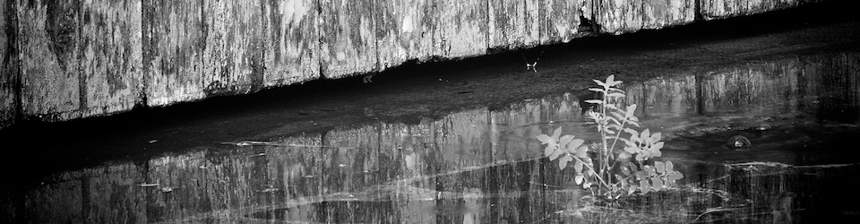 Treballem en entorns digitals