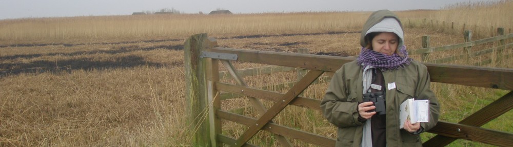 Dra. Rocks, I presume