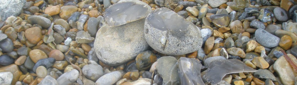 Dra. Rocks, I presume