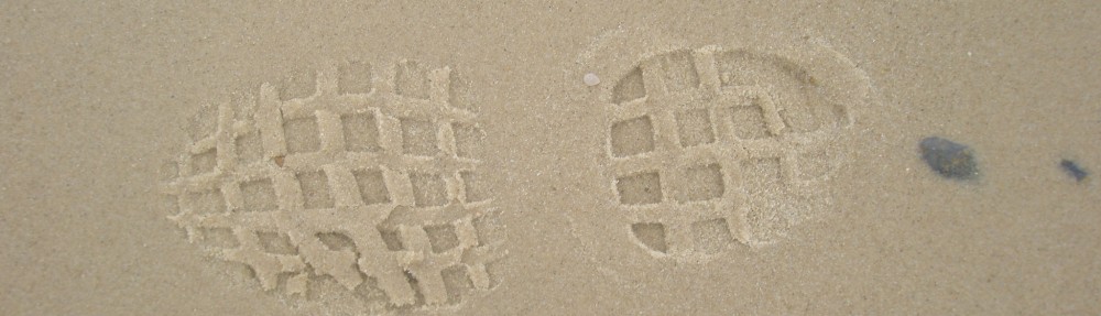 Dra. Rocks, I presume