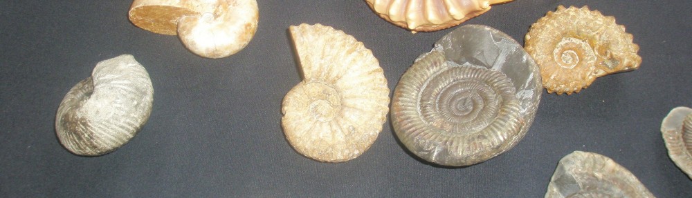 Dra. Rocks, I presume