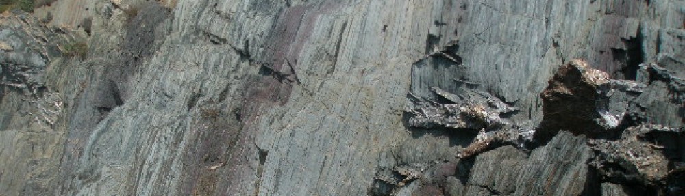 Dra. Rocks, I presume