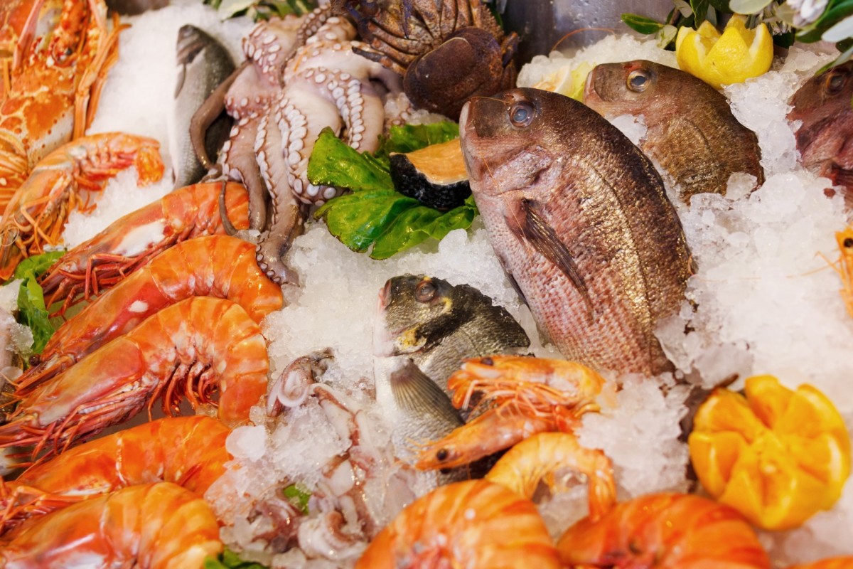 seafood_food_healthy_sea_fresh_fish_restaurant_dinner-1022644