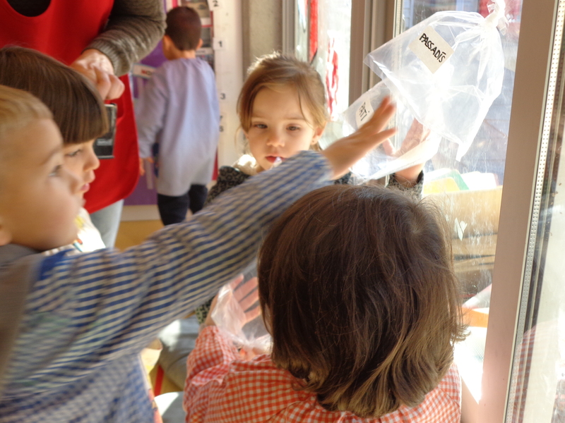 DSC00986.redimensionada