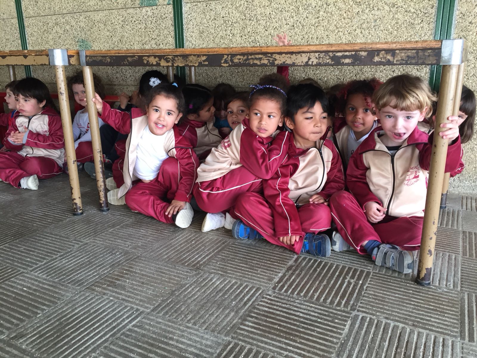 d365a881-3002-42ae-8210-2aaa8cc6cd1a