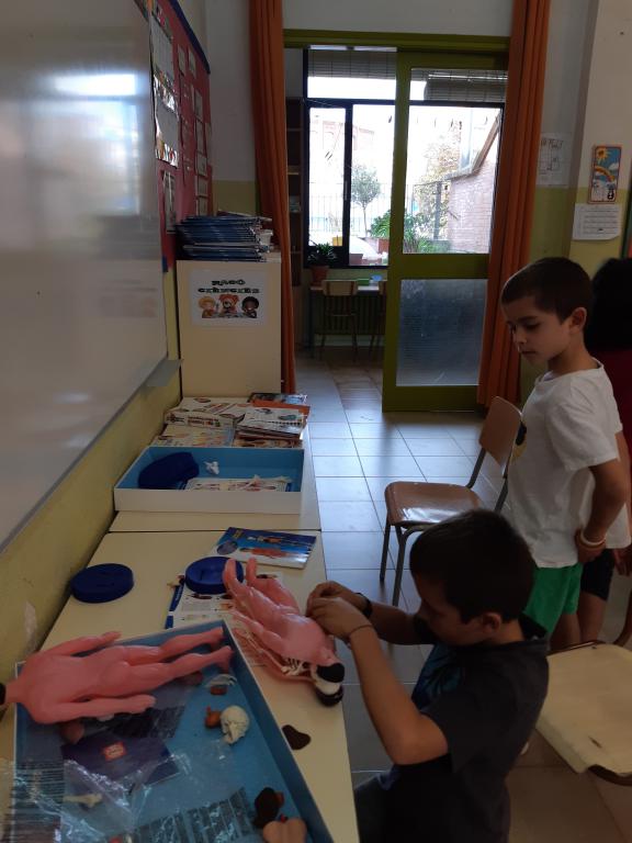 mini_20191003_120551