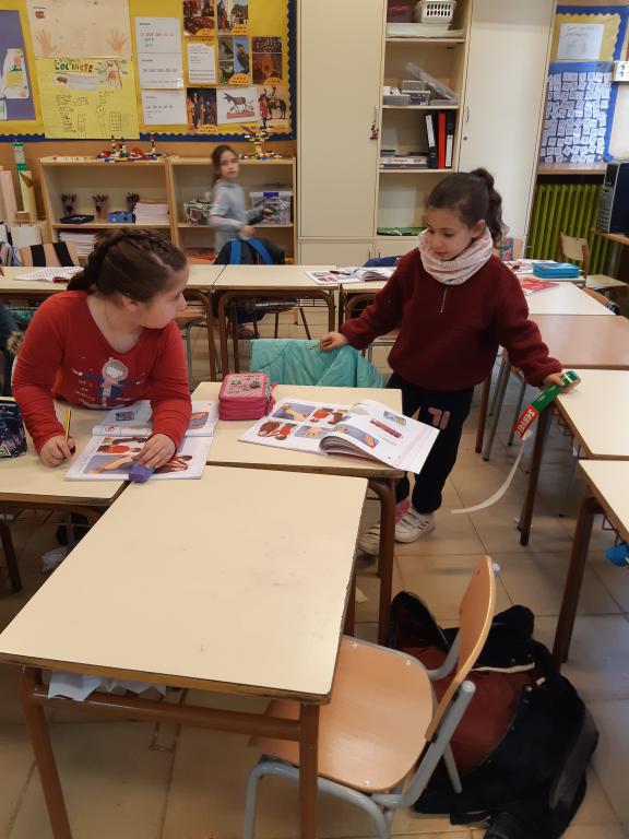 mini_20200206_102930