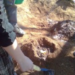 Have some fun at the garden