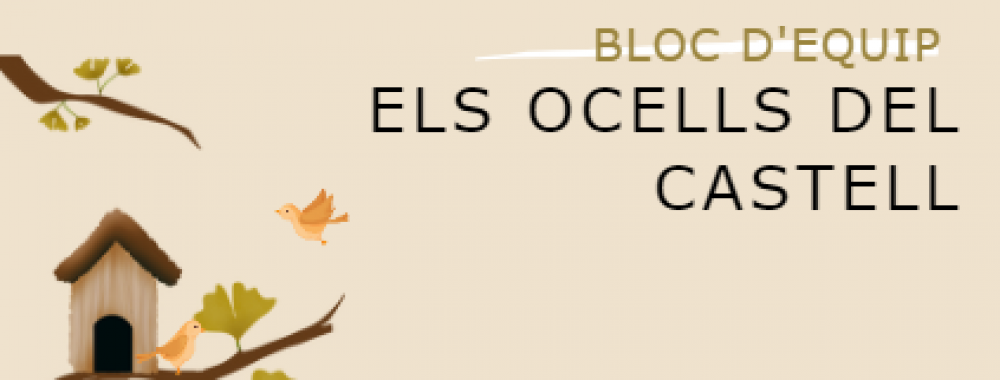 ELS OCELLS DEL CASTELL (Bloc d'exemple)