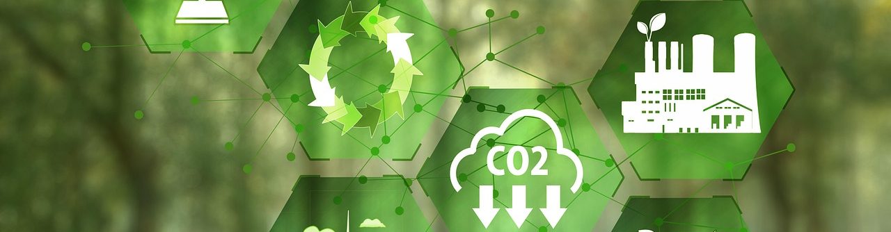 Implica’t+ i crea la teva empresa sostenible