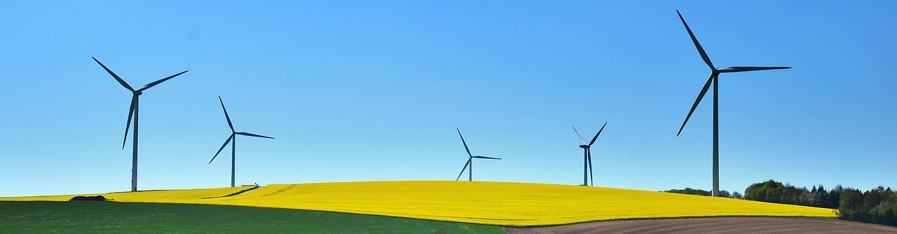 Implica’t+ i crea la teva empresa sostenible