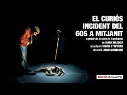 el curios incident del gos a mitja nit persontage