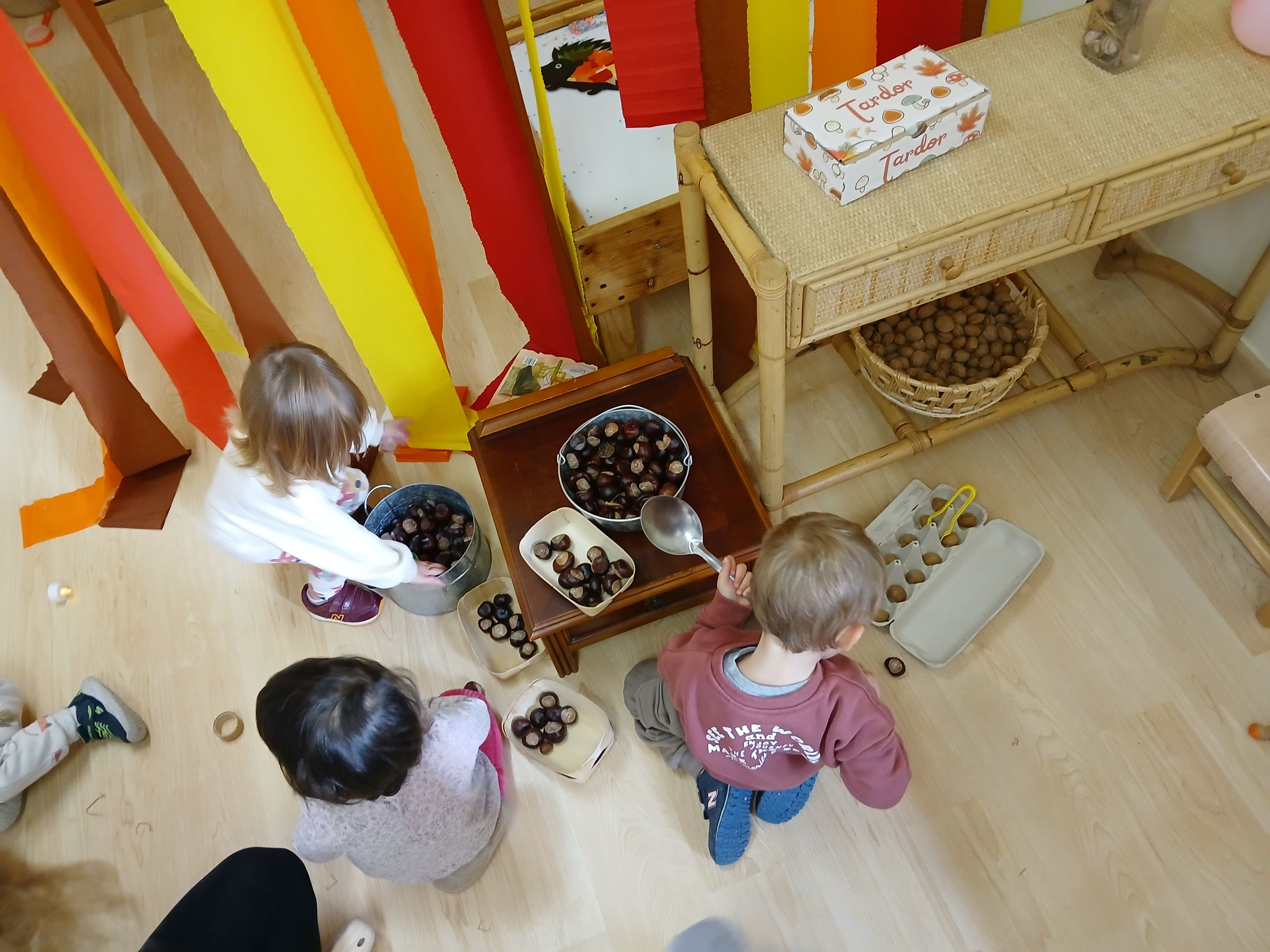 AMBIENTS TARDOR cASTANYES