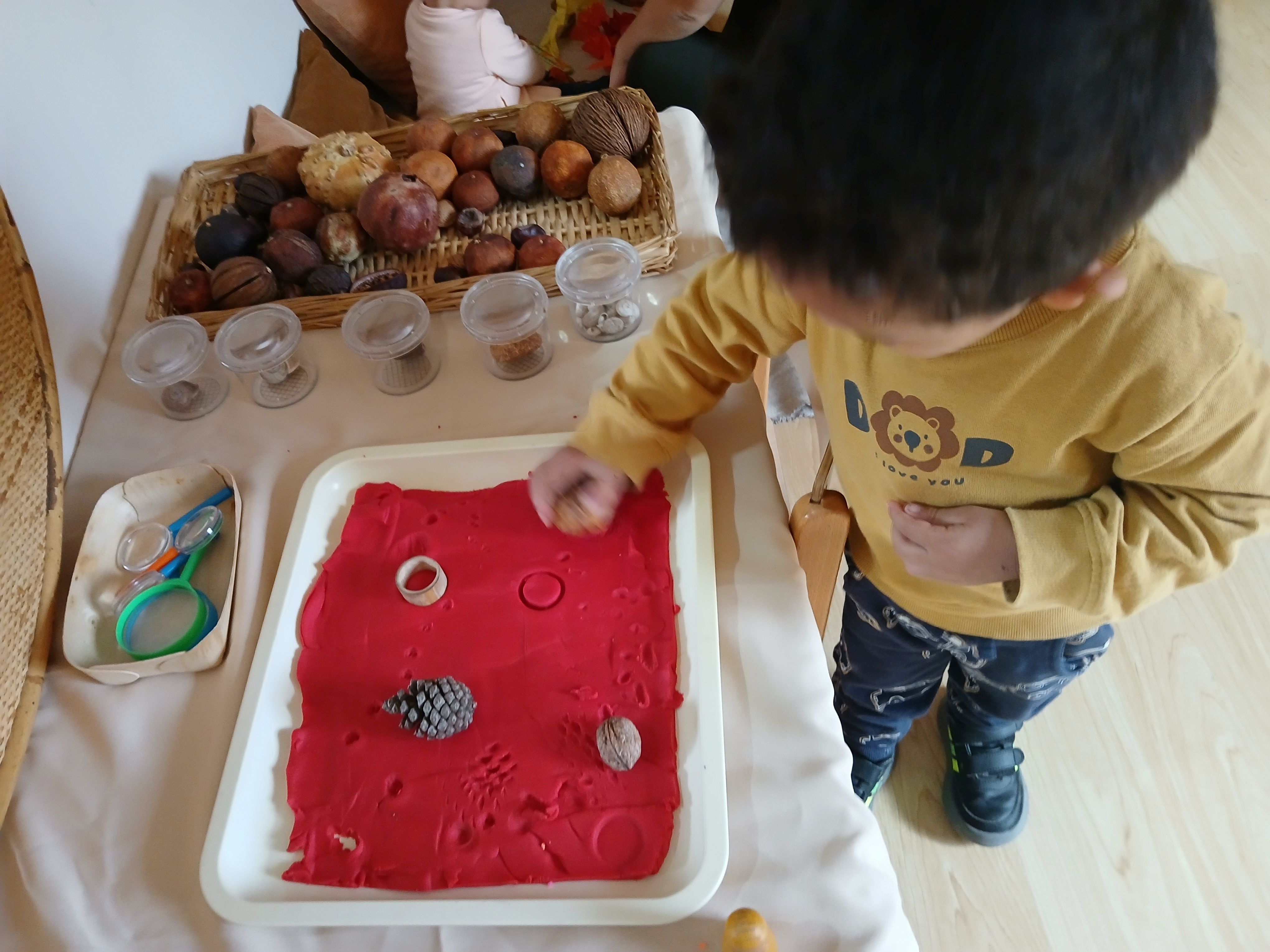 empremta elements tardor