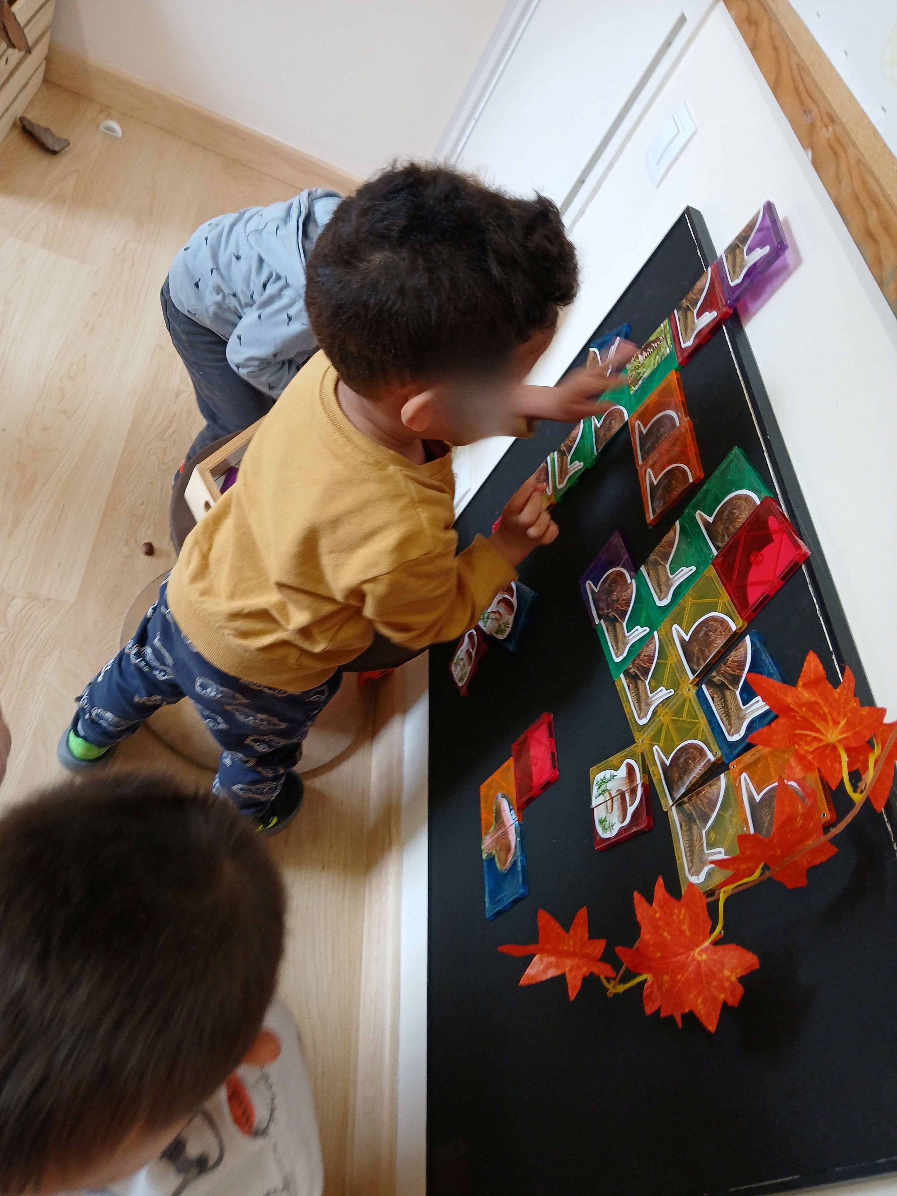 trencaclosques imantats