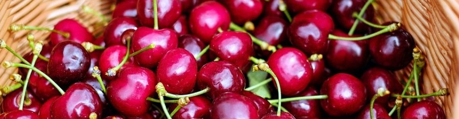 Melmelada de Cirera – Cicle Inicial