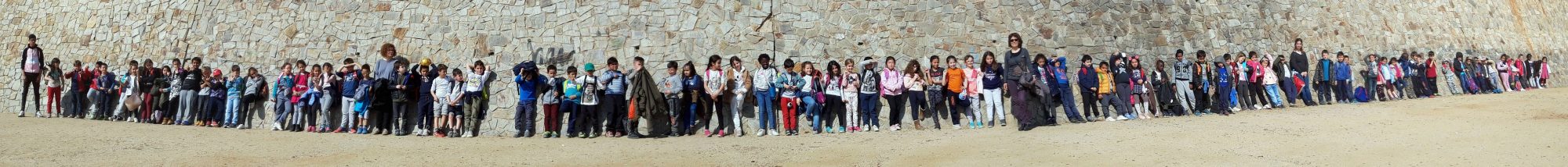 Melmelada de Cirera – Cicle Inicial